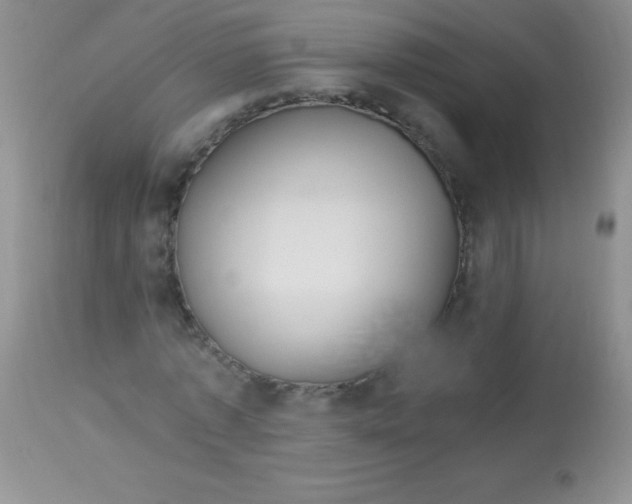 X0000112900773200909181935