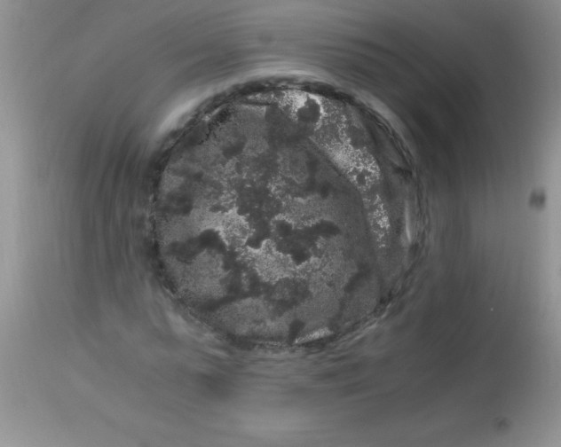 X0000112900775200909181935