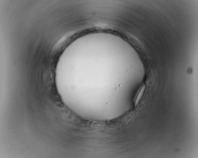 X0000112900776200909181935