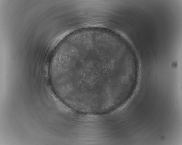 X0000112900777200909181935