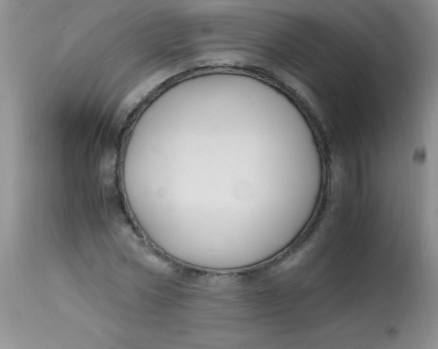 X0000112900778200909181935