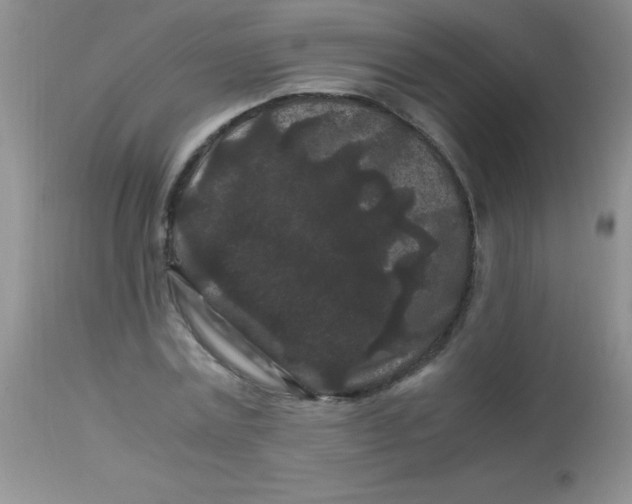 X0000112900779200909181935