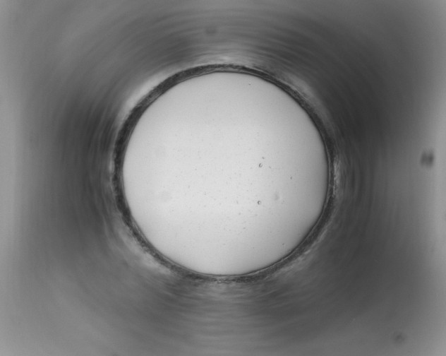 X0000112900780200909181935