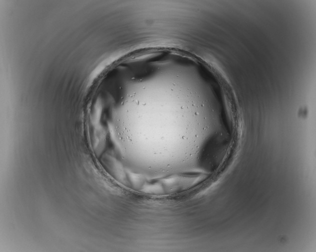 X0000112900781200909181935