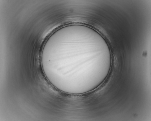 X0000112900782200909181935
