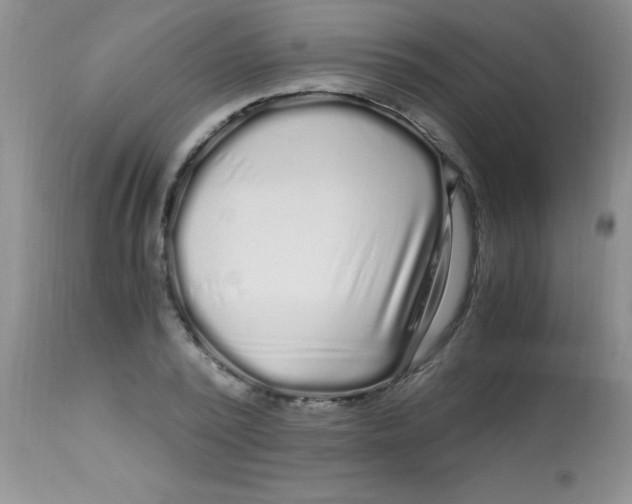 X0000112900784200909181935
