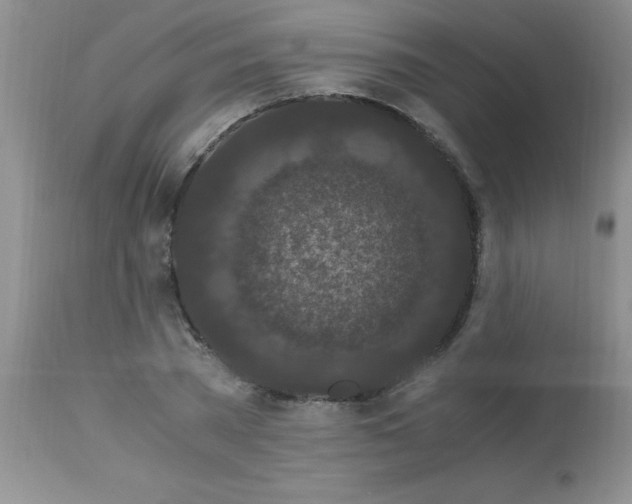 X0000112900785200909181935