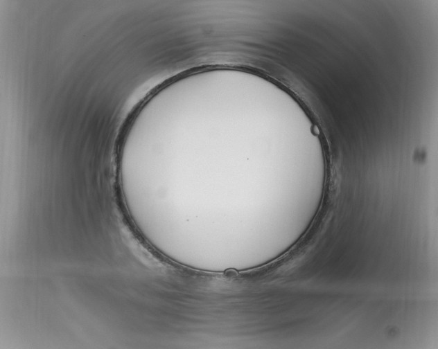 X0000112900787200909181934