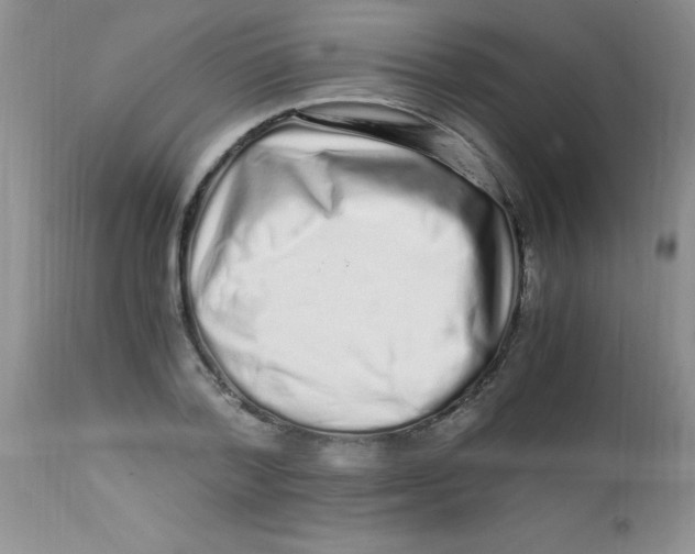 X0000112900788200909181934