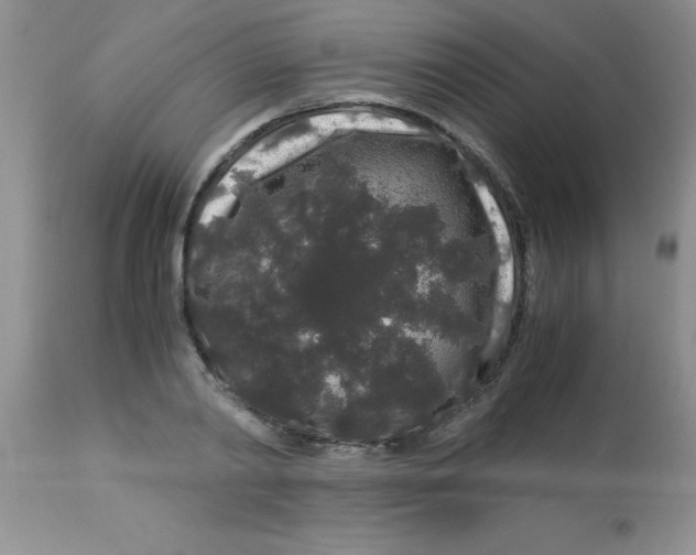 X0000112900790200909181934