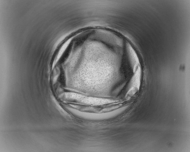 X0000112900791200909181934