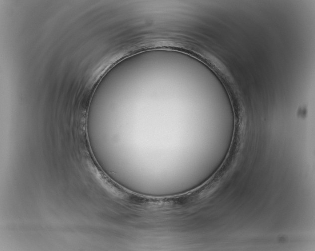 X0000112900793200909181934