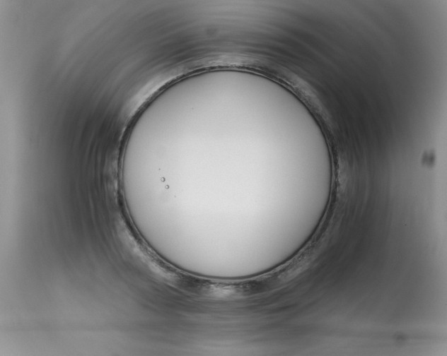 X0000112900794200909181934