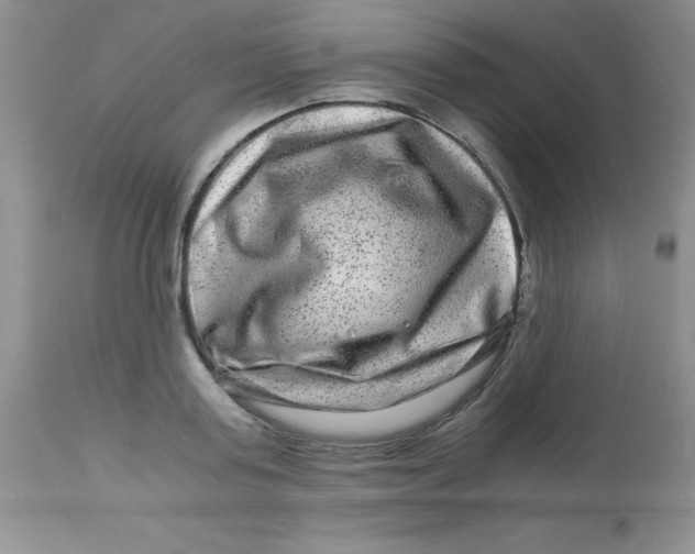 X0000112900795200909181934
