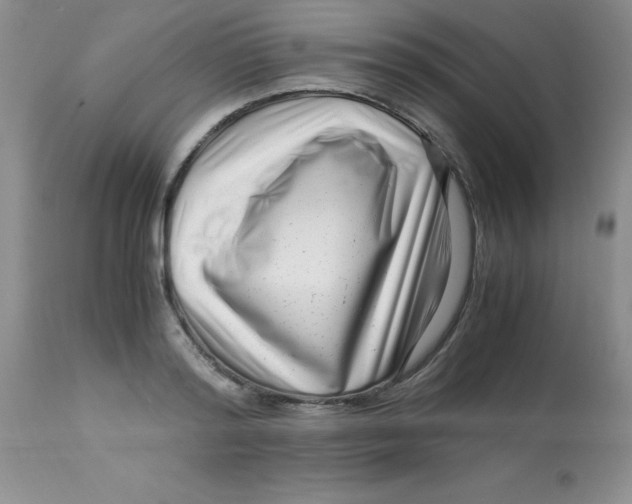 X0000112900796200909181934