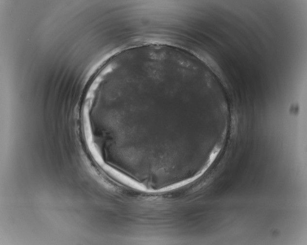 X0000112900798200909181934