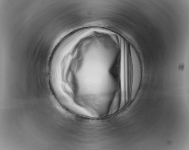 X0000112900800200909181934