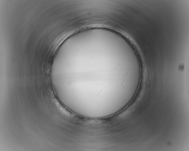 X0000112900801200909181934