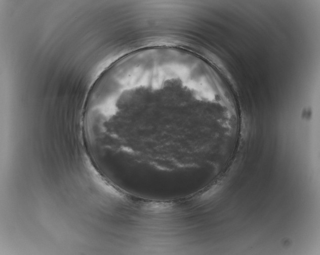 X0000112900802200909181934