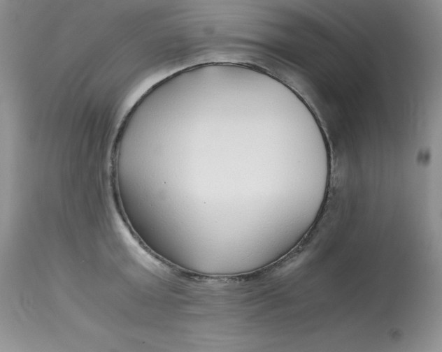 X0000112900803200909181934