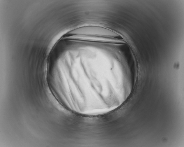 X0000112900804200909181934