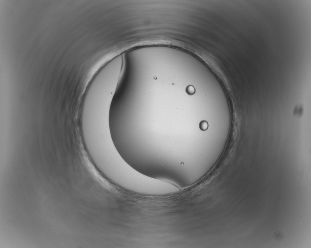 X0000112900805200909181934