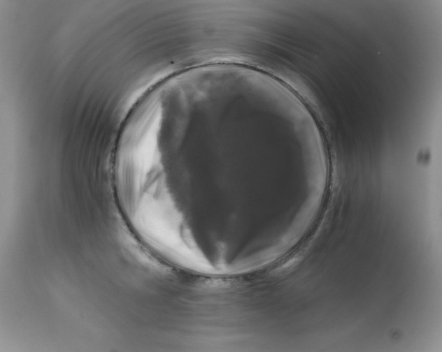 X0000112900806200909181934