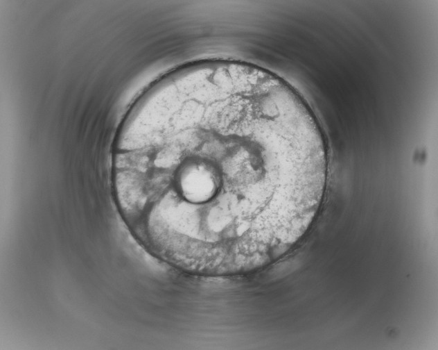 X0000112900807200909181934