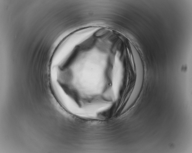 X0000112900808200909181934