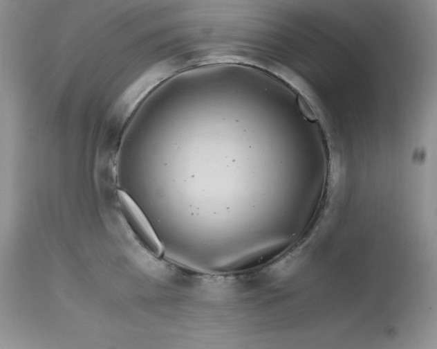 X0000112900809200909181934