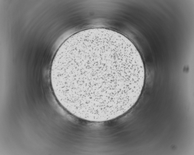 X0000112900810200909181934