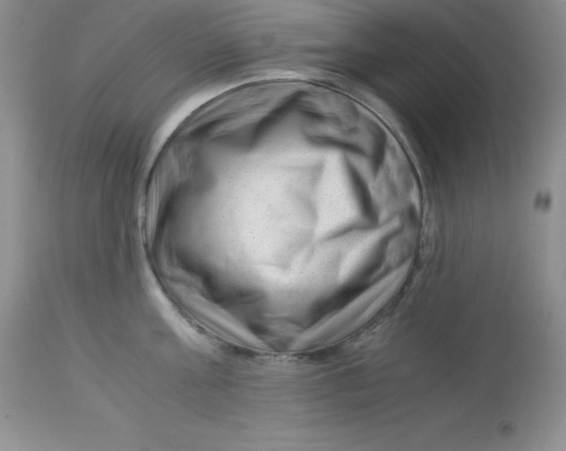 X0000112900811200909181934