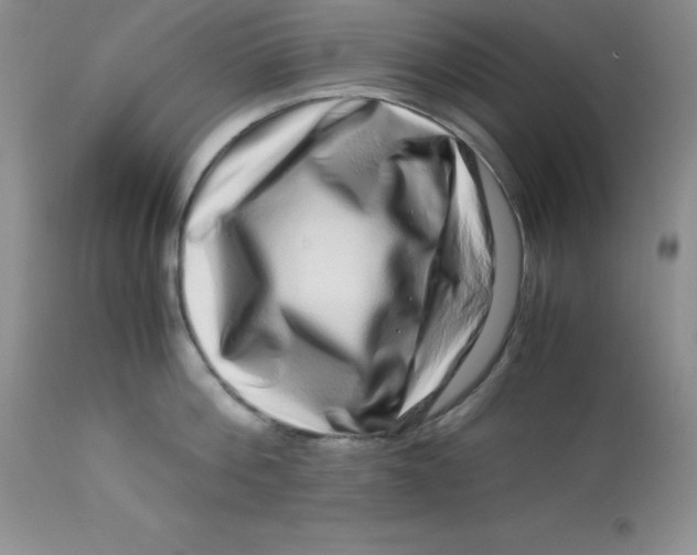 X0000112900812200909181934