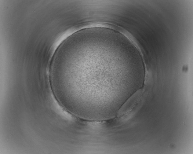 X0000112900813200909181934