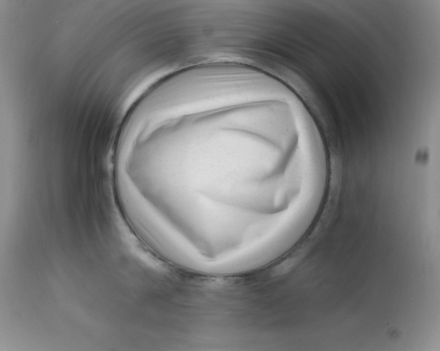 X0000112900814200909181934