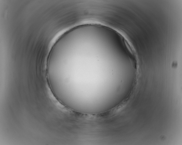 X0000112900815200909181934