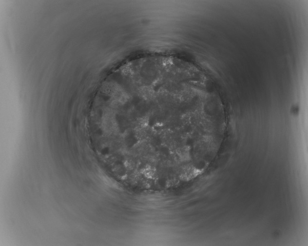 X0000112900817200909181933