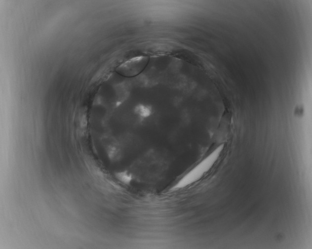 X0000112900818200909181933