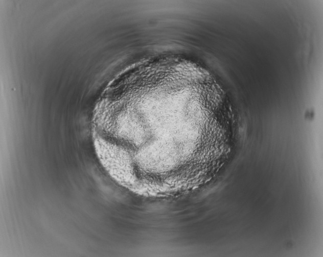X0000112900819200909181933
