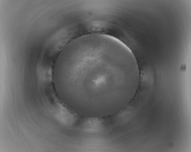 X0000112900820200909181933
