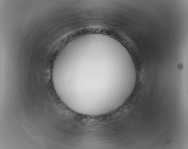 X0000112900821200909181933