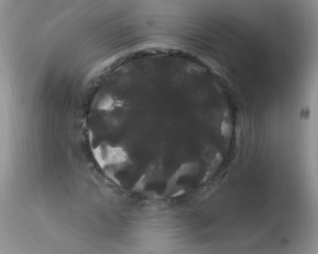 X0000112900822200909181933