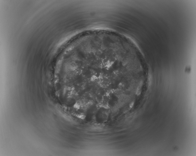 X0000112900823200909181934