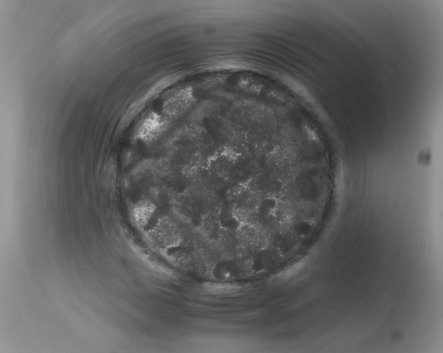 X0000112900825200909181934