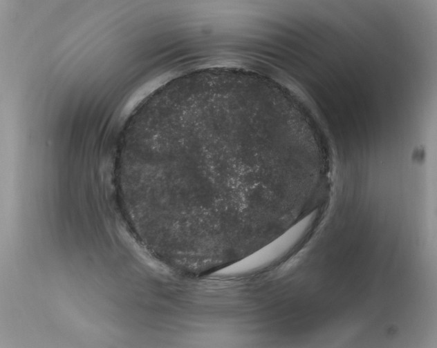 X0000112900826200909181934