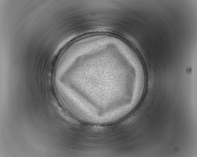 X0000112900827200909181934