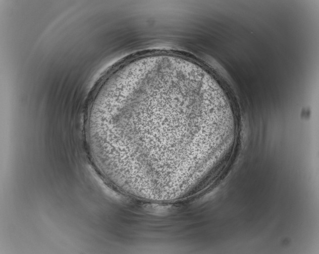 X0000112900831200909181934
