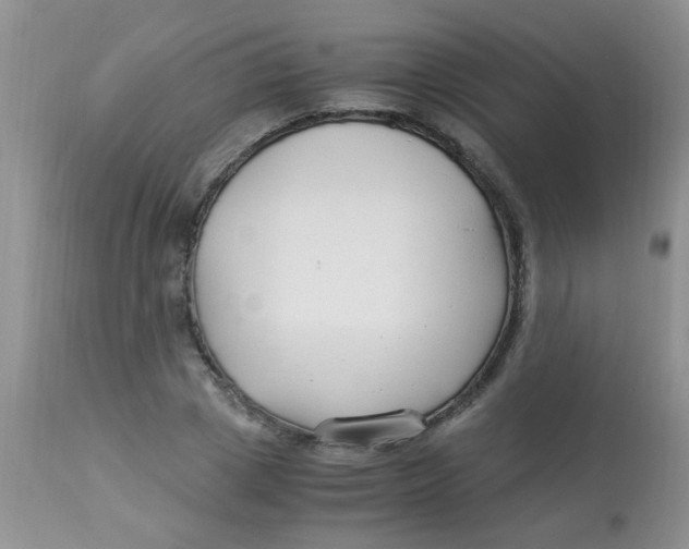 X0000112900833200909181934