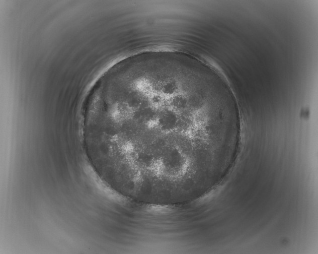 X0000112900835200909181934