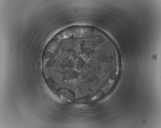 X0000112900837200909181934